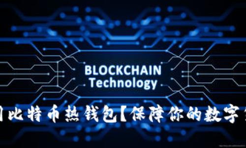 如何使用比特币热钱包?保障你的数字货币安全