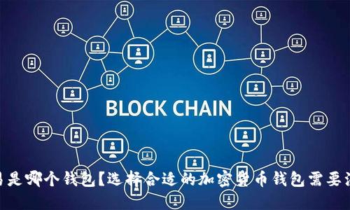 USDT交易是哪个钱包?选择合适的加密货币钱包需要注意什么?