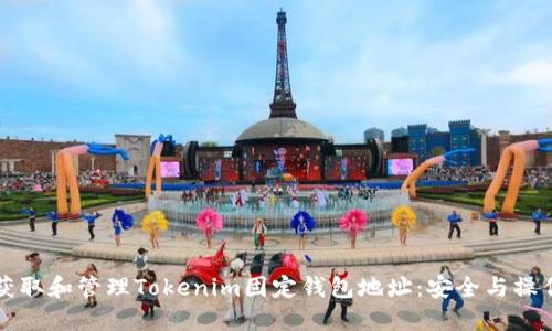 如何获取和管理Tokenim固定钱包地址：安全与操作指南