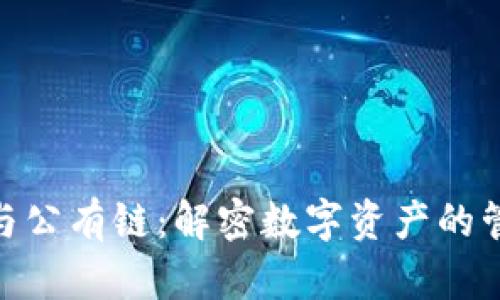TokenIM与公有链：解密数字资产的管理与未来