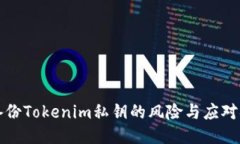 不备份Tokenim私钥的风险与