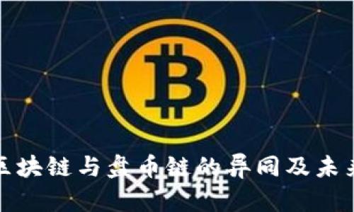 深入探讨区块链与盘币链的异同及未来发展趋势