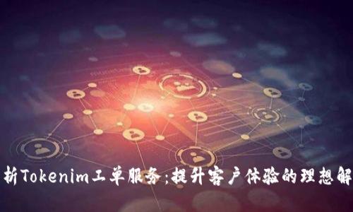 全面解析Tokenim工单服务：提升客户体验的理想解决方案