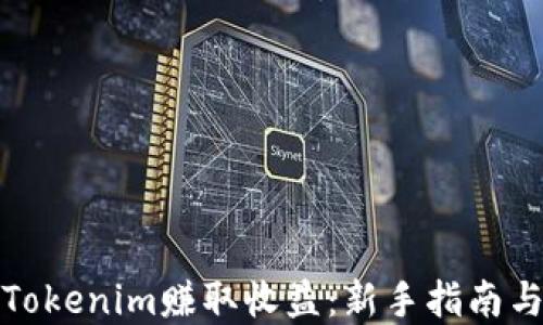 
如何通过Tokenim赚取收益：新手指南与实用技巧