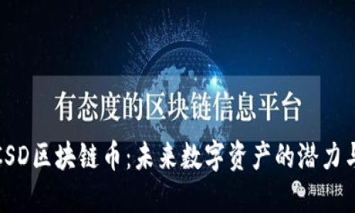 和关键词

深入理解CSD区块链币：未来数字资产的潜力与应用探讨