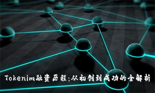 Tokenim融资历程：从初创到成功的全解析