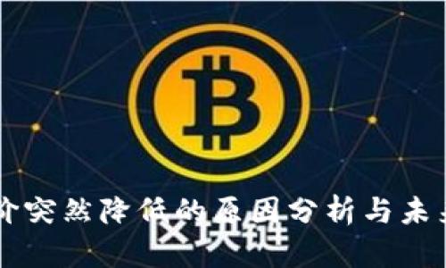 区块链币价突然降低的原因分析与未来趋势展望