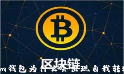 
Tokenim钱包为什么会出现自我转账现象？
