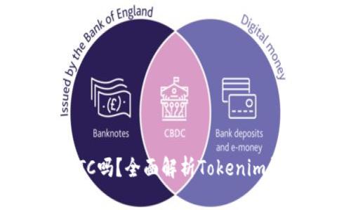 Tokenim能存储BTC吗？全面解析Tokenim钱包的功能与使用