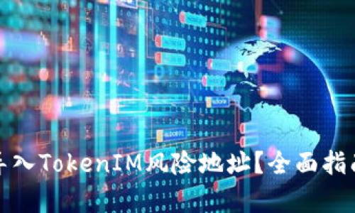 如何安全有效地导入TokenIM风险地址？全面指南与风险管理策略