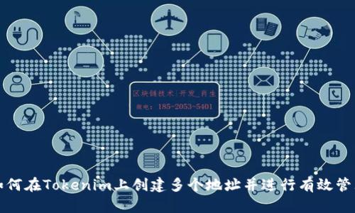 如何在Tokenim上创建多个地址并进行有效管理