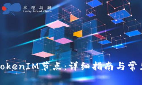 如何添加TokenIM节点：详细指南与常见问题解答