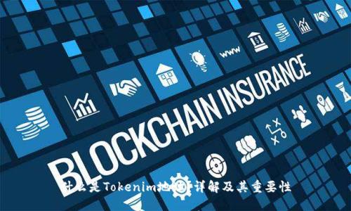 什么是Tokenim地址？详解及其重要性