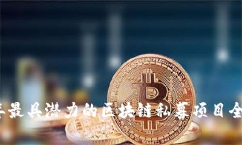 2023年最具潜力的区块链私募项目全面分析