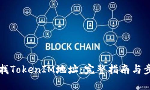 如何查找TokenIM地址：完整指南与步骤解析