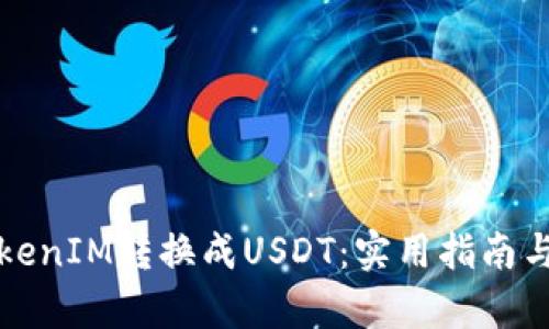如何将TokenIM转换成USDT：实用指南与步骤解析