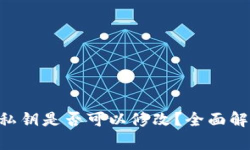 Tokenim钱包私钥是否可以修改？全面解析与安全建议