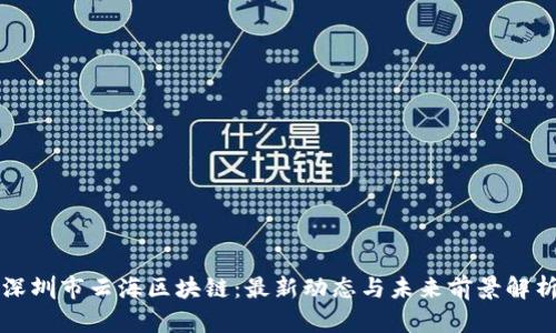 深圳市云海区块链：最新动态与未来前景解析
