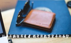 Pi币区块链布道者：揭开新