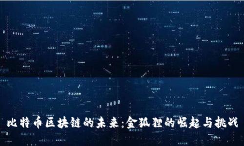 比特币区块链的未来：金狐狸的崛起与挑战