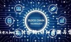 如何设置Tokenim支付密码：详细步骤与常见问题解