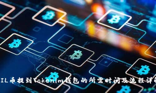 FIL币提到Tokenim钱包的所需时间及流程详解