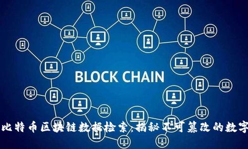 深入探讨比特币区块链数据检索：揭秘不可篡改的数字资产未来