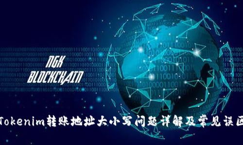 Tokenim转账地址大小写问题详解及常见误区