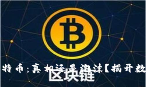 区块链中的比特币：真相还是泡沫？揭开数字货币的面纱