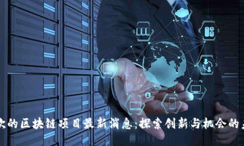 王欣的区块链项目最新消息：探索创新与机会的未来