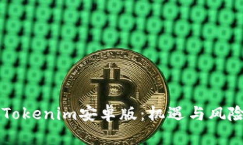 解密Tokenim安卓版：机遇与风险一览