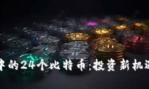 揭秘区块链中的24个比特币：投资新机遇与风险分析