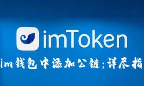 如何在Tokenim钱包中添加公链：详尽指南与最佳实践