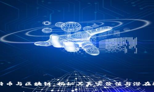 比特币与区块链：揭秘其真实价值与潜在骗局