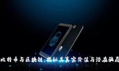 比特币与区块链：揭秘其真实价值与潜在骗局