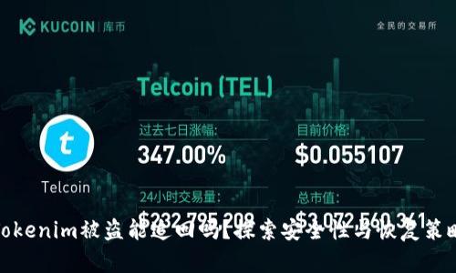 Tokenim被盗能追回吗？探索安全性与恢复策略