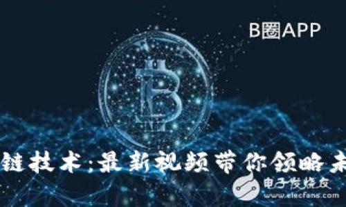 深度解析区块链技术：最新视频带你领略未来的数字变革