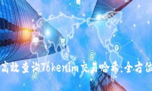 如何高效查询Tokenim交易哈希：全方位指南