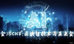 比特币现金（BCH）：区块