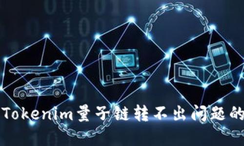 如何解决Tokenim量子链转不出问题的全面指南