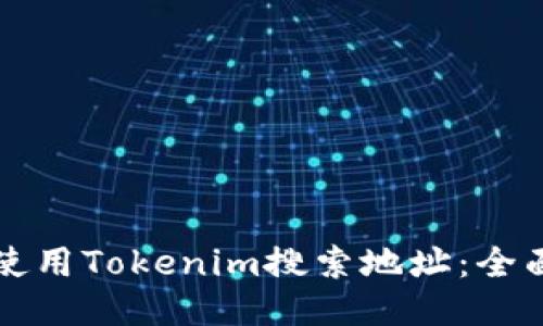 如何使用Tokenim搜索地址：全面指南