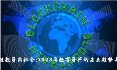 区块链投资新机会：2023年数字资产的未来趋势与