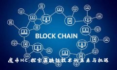 魔币MC：探索区块链技术的未来与机遇