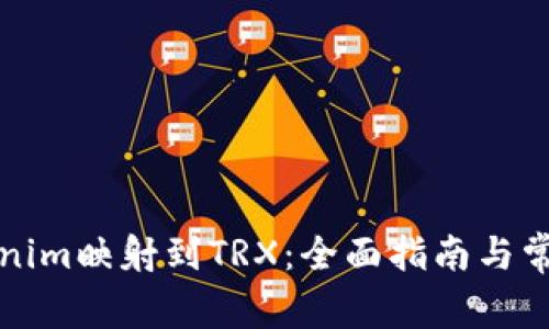 如何将Tokenim映射到TRX：全面指南与常见问题解答