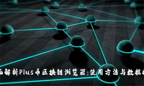 全面解析Plus币区块链浏览器：使用方法与数据探寻