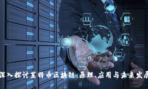 深入探讨莱特币区块链：原理、应用与未来发展