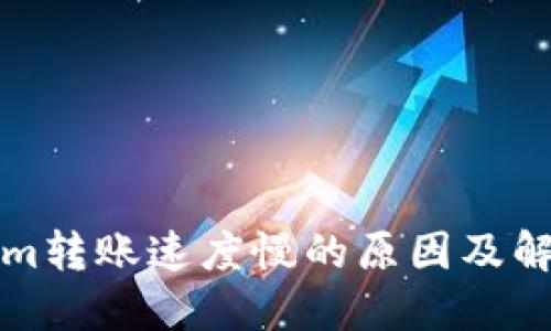 Tokenim转账速度慢的原因及解决方法