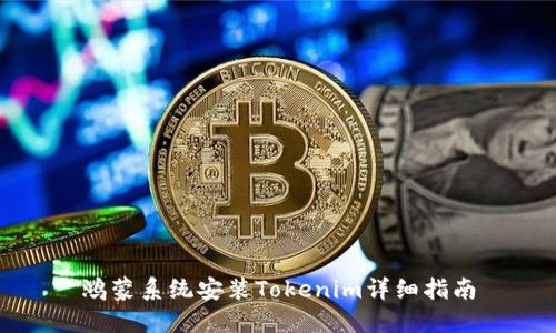 鸿蒙系统安装Tokenim详细指南