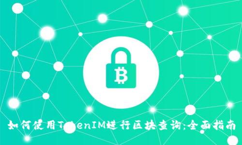 如何使用TokenIM进行区块查询：全面指南