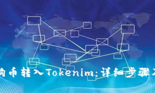 如何将狗狗币转入Tokenim：详细步骤及注意事项